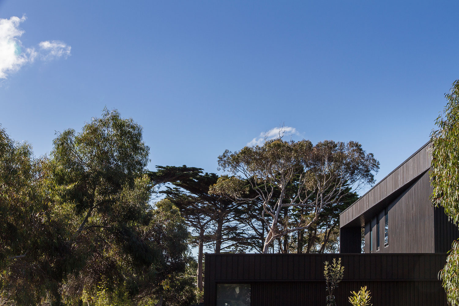 residential_architecture_flinders_7